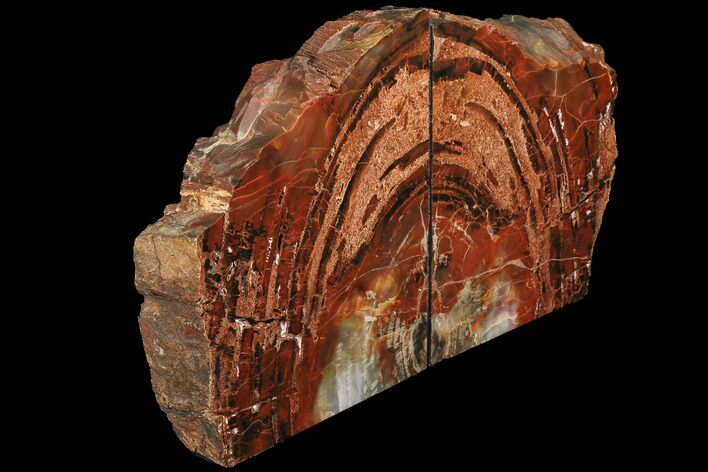 Tall, Arizona Petrified Wood Bookends - Red & Black #111104